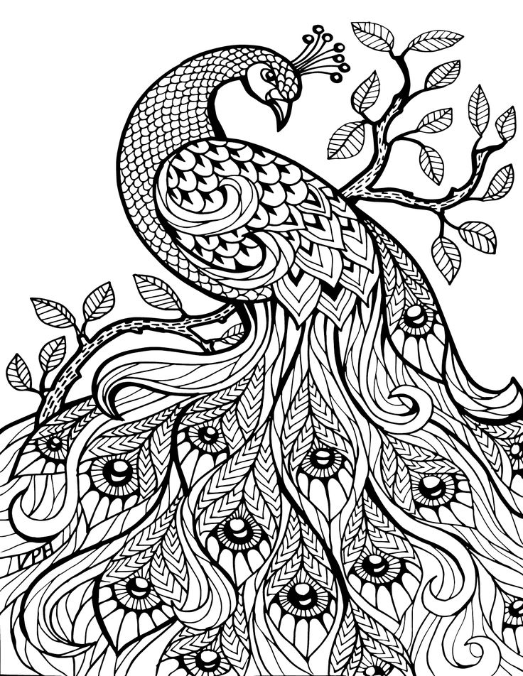 Hard Coloring Pages For Girls | 100 images Free Printable