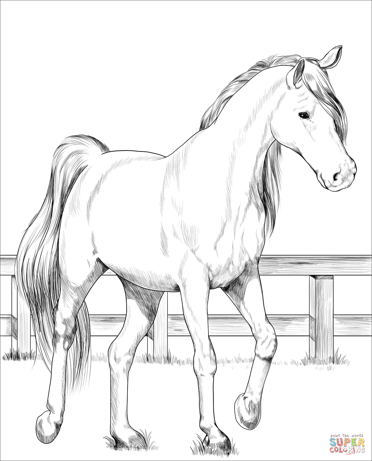 trakehner horse coloring page free printable coloring pages coloring home
