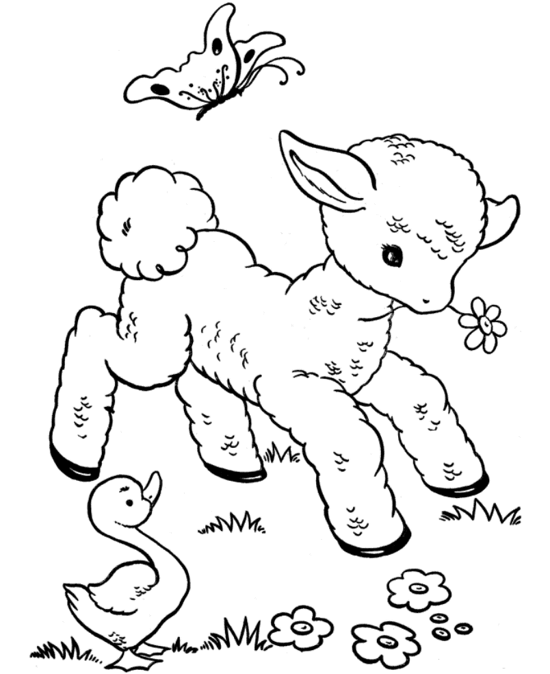 Baby Animal To Print - Coloring Pages for Kids and for Adults