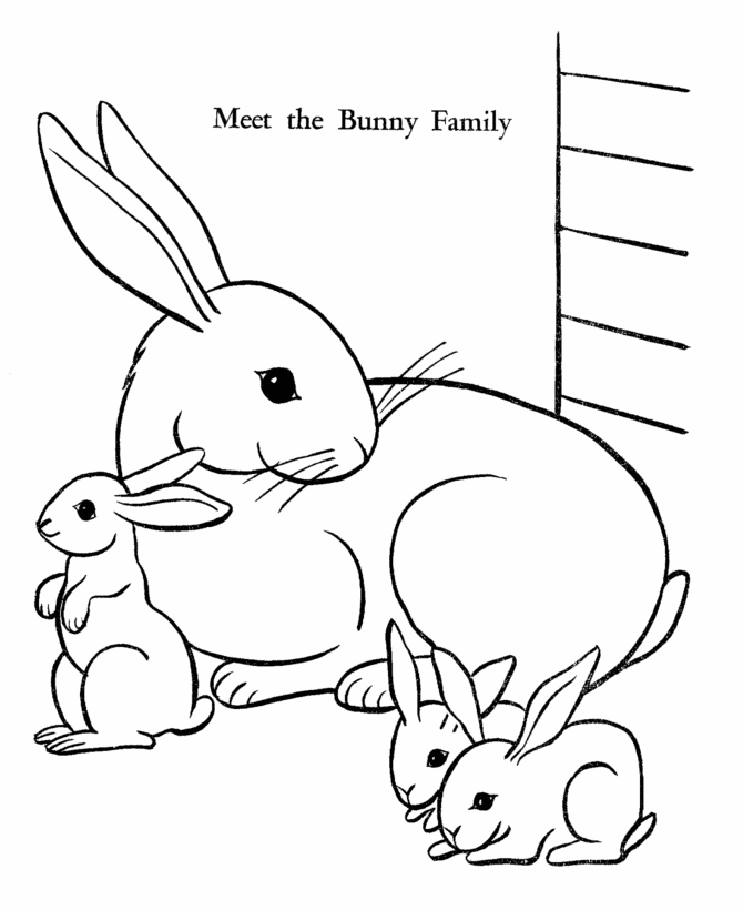 Bunny Rabbits - Coloring Pages for Kids and for Adults