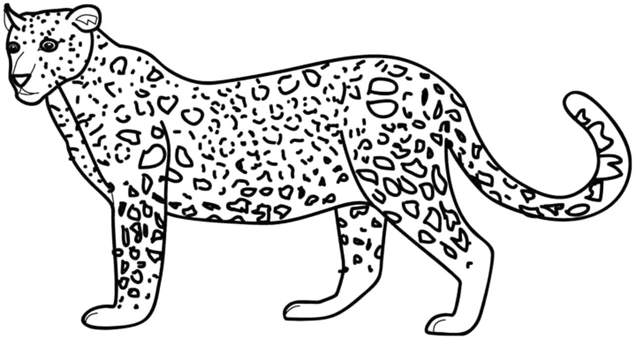Cheetah Cub Coloring Pages Real Cheetah Coloring Pages. Kids ...