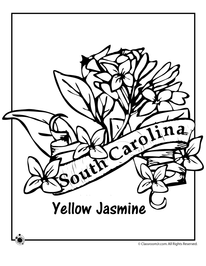 South Carolina State Flower Coloring Page | Woo! Jr. Kids Activities |  Flower coloring pages, Coloring pages, Coloring pages inspirational