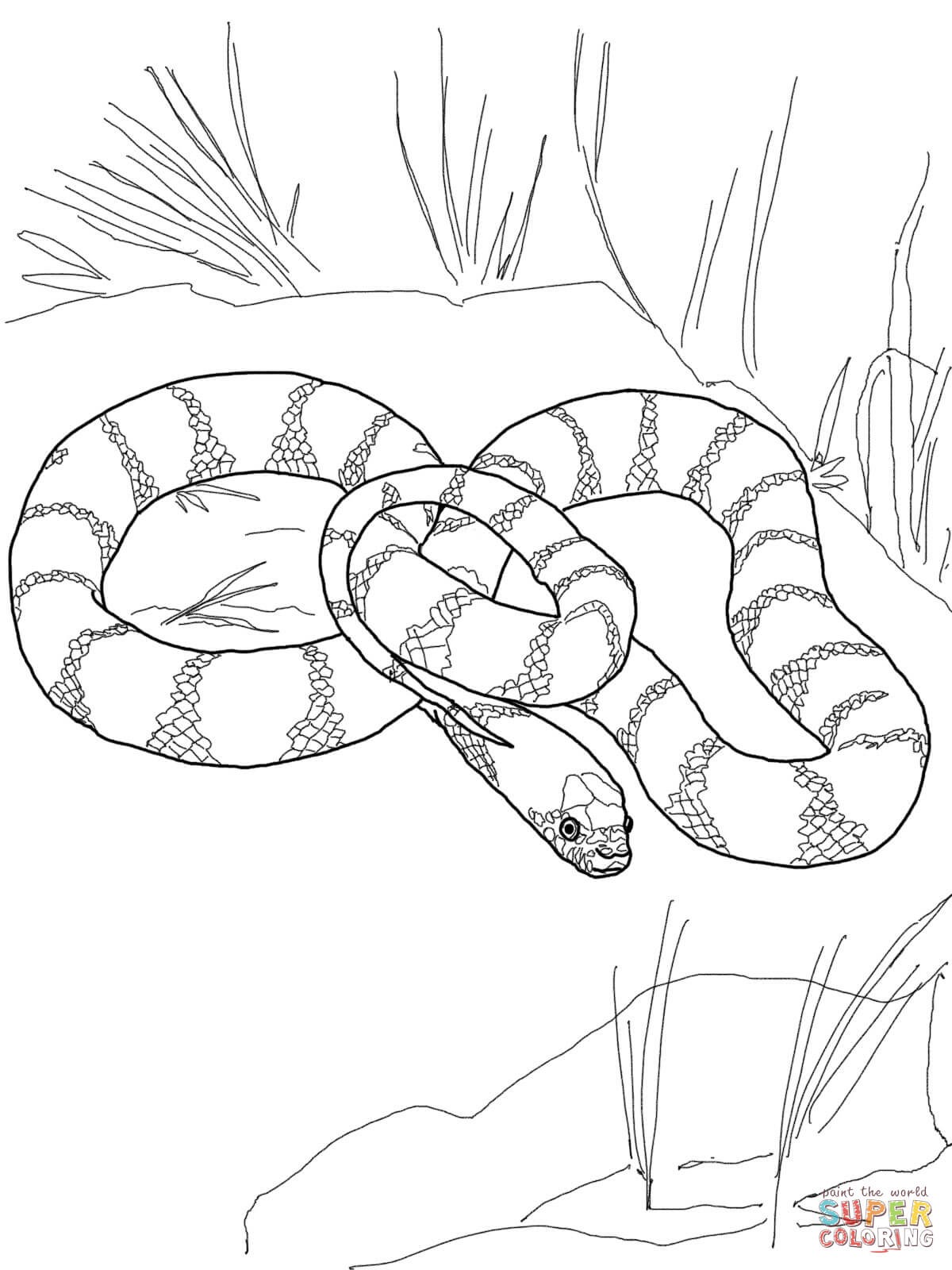coloring : King Cobra Coloring Page New Snakes Coloring Pages King Cobra Coloring  Page ~ queens