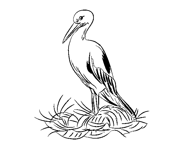 Stork and nest coloring page ...animals.coloringcrew.com