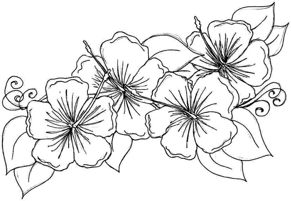 Free Printable Hibiscus Coloring Pages For Kids | Flower coloring ...