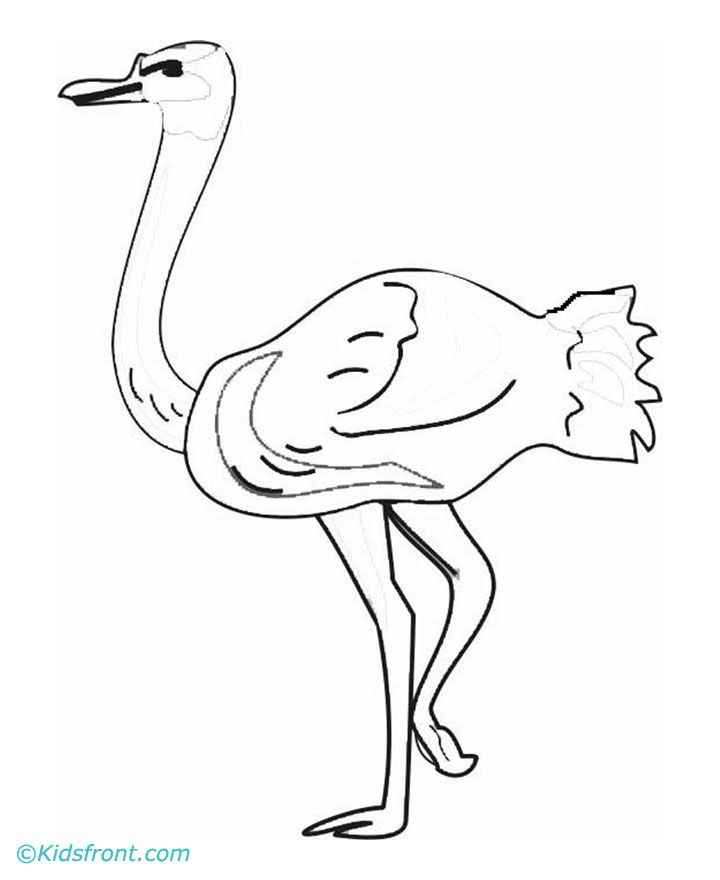 Ostrich Coloring Page - Coloring Home