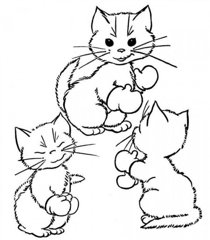 Cat Coloring Pages You Can Print