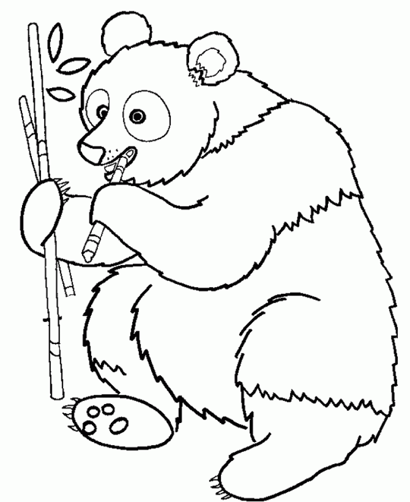 Printable Panda Eat Bamboo Coloring Pages - Kids Colouring Pages