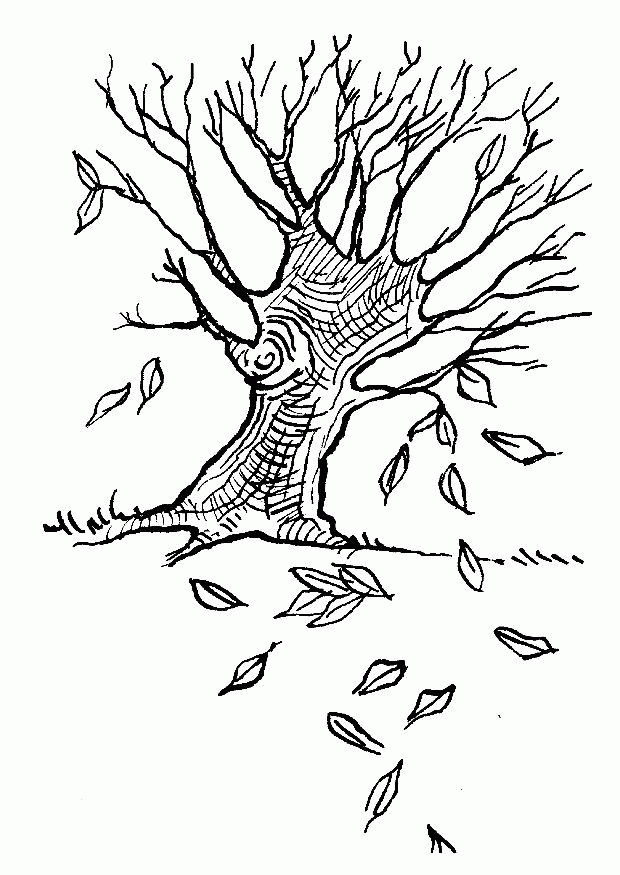 Coloring Pages Of Trees