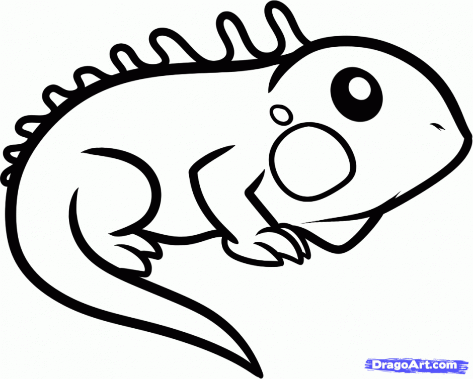 Iguana Coloring Page Iguana Coloring Pages Printable Coloring 