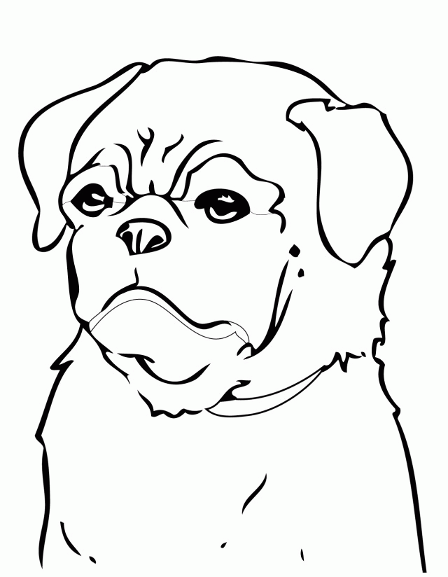 Dog Breed Coloring Pages Pug Dog Coloring Page Printable 276677 