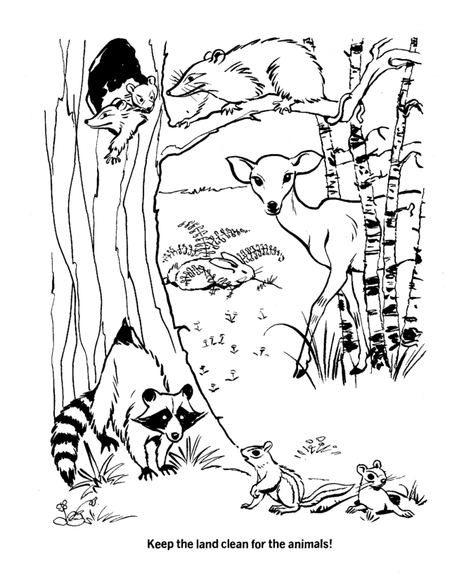 rain forest habitat Colouring Pages