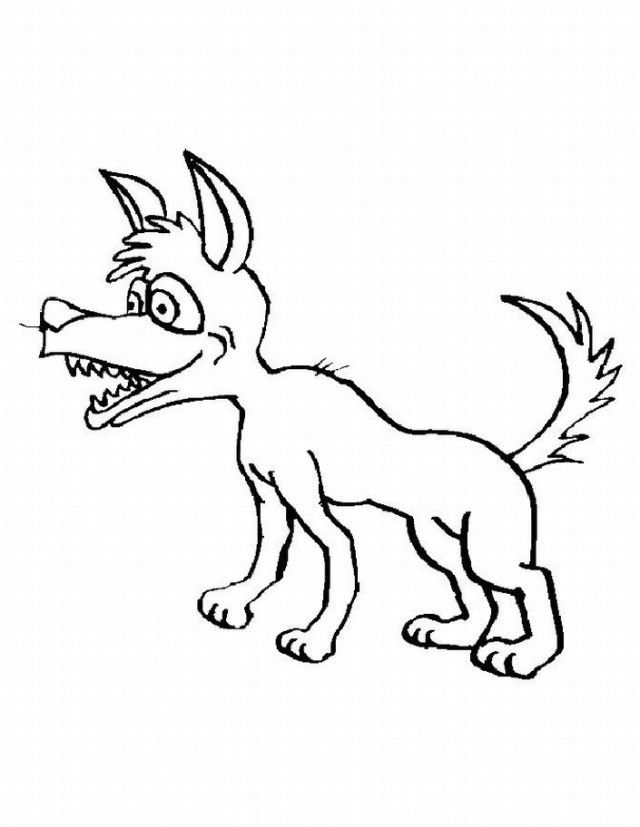 Animals coloring page – Coyote | coloring pages