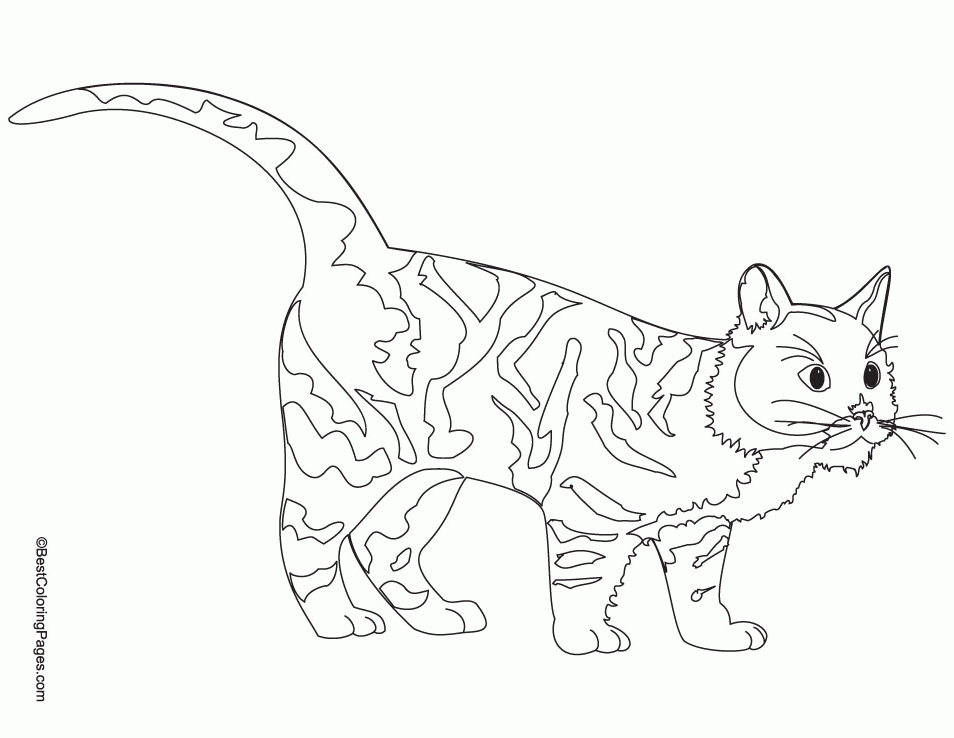 great Cat Coloring Pages for kids | Best Coloring Pages