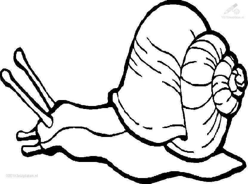 Coloring Page Snail 2 To Color Online
