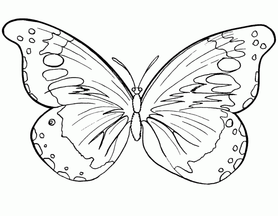 Ladybug Coloring Page Lady Bug Coloring Pages Printable Coloring 