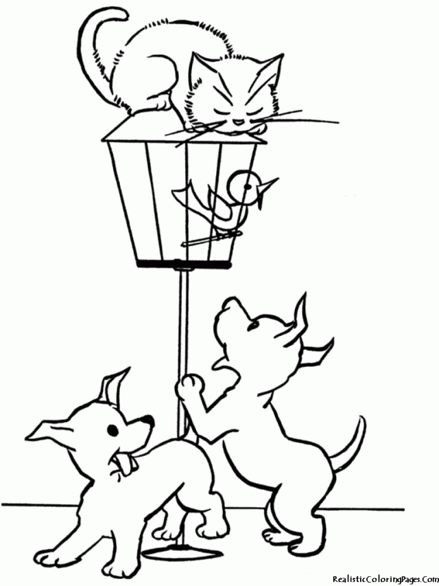 Catdog Coloring Pages Cat Dog Coloring Pages Printable Coloring 