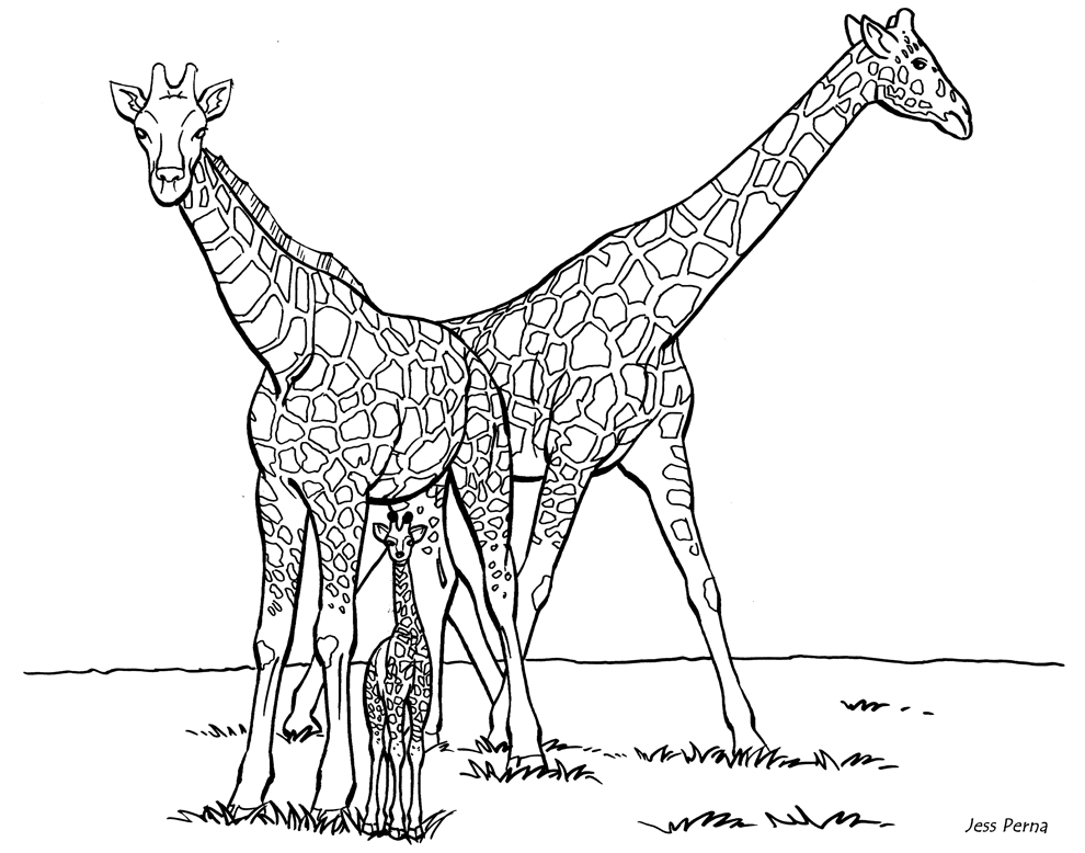 Download Family Giraffe Giraffe Coloring Pages Coloring Pages For Kids Coloring Home