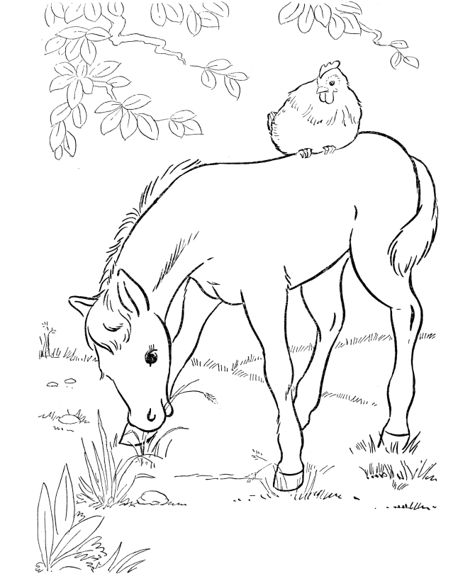 Horse And Foal Coloring Pages - Free Printable Coloring Pages 