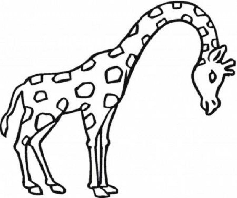 Coloring Pages Giraffe - Kids Colouring Pages