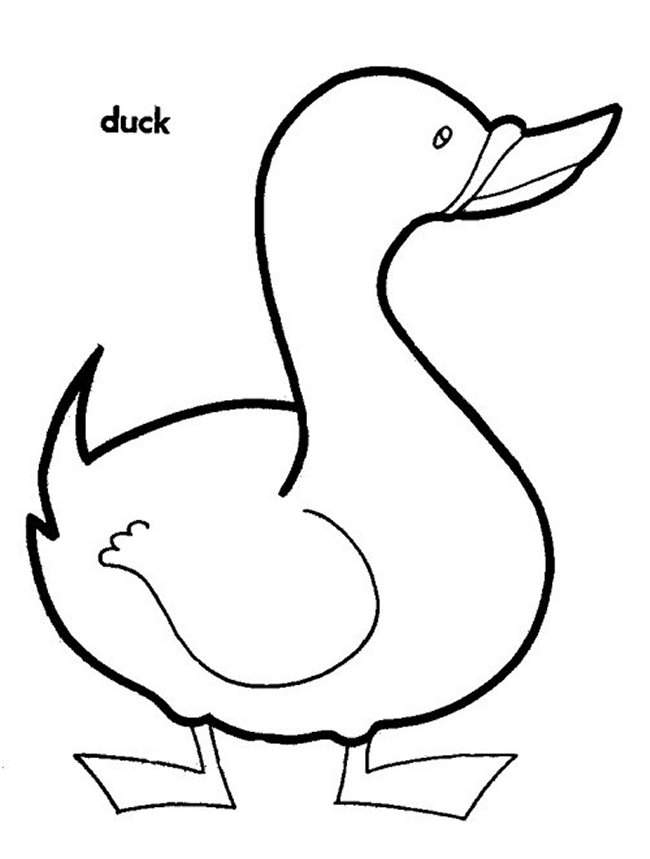 Duck Hunting Coloring Pages 93 | Free Printable Coloring Pages