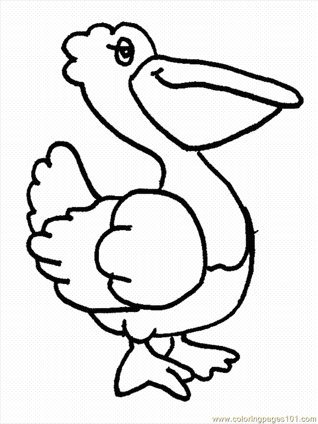 Coloring Pages Pelican1 (Birds > Pelican ) - free printable 