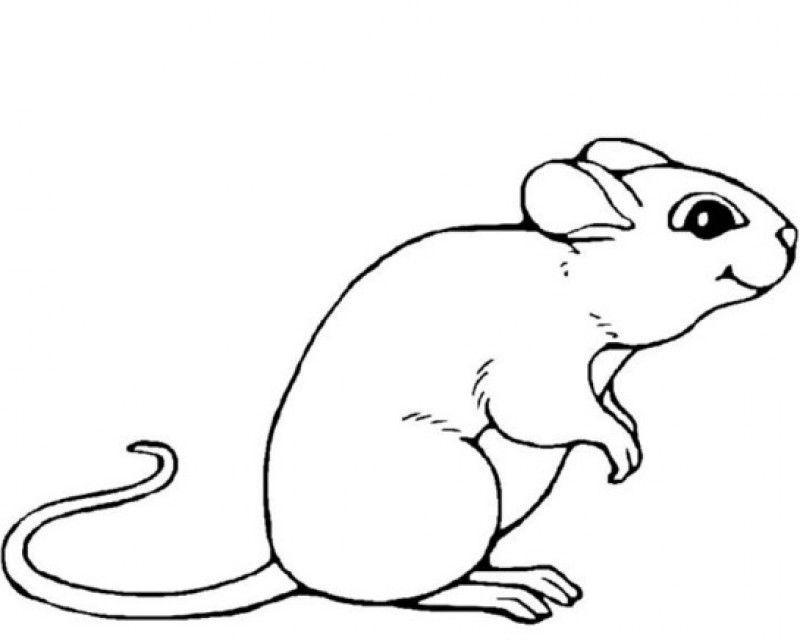 Mouse Images For Kids - HD Printable Coloring Pages