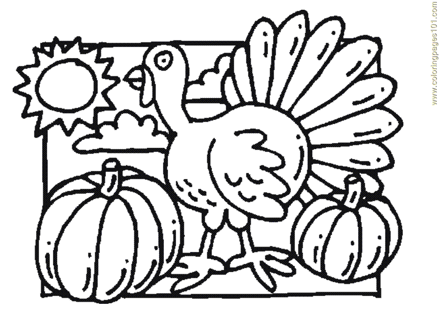 funny turtle coloring pages