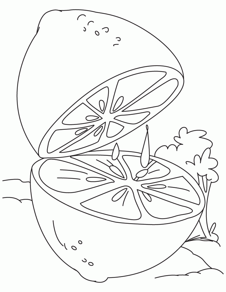 Fresh and Juicy Lemon Coloring Pages