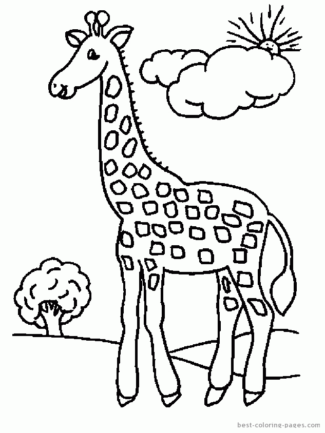 Giraffes coloring pages | Best Coloring Pages - Free coloring 