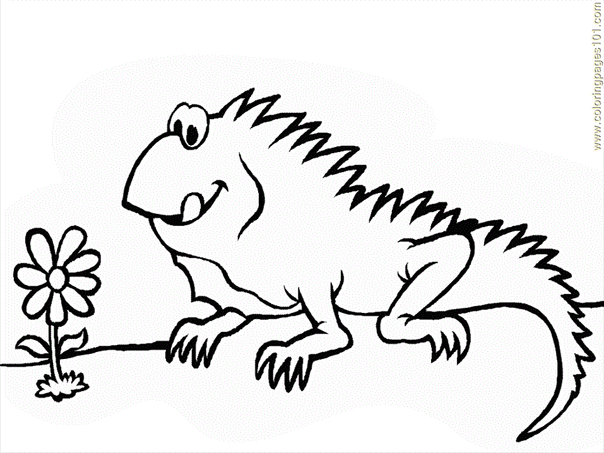 Coloring Pages Mexican Coloring Iguana2 (Countries > Mexico 