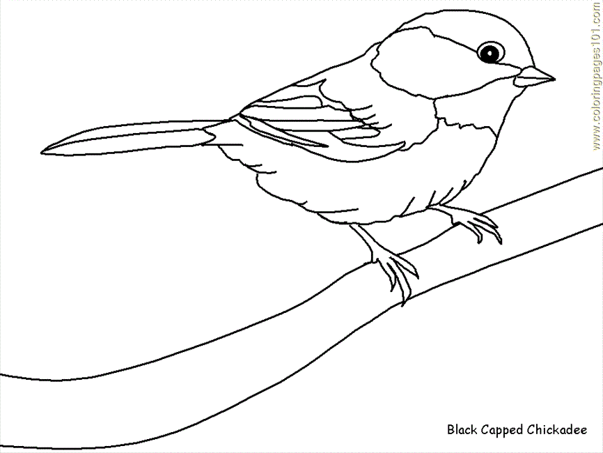 Coloring Pages Bird Coloring 69 (Animals > Birds) - free printable 