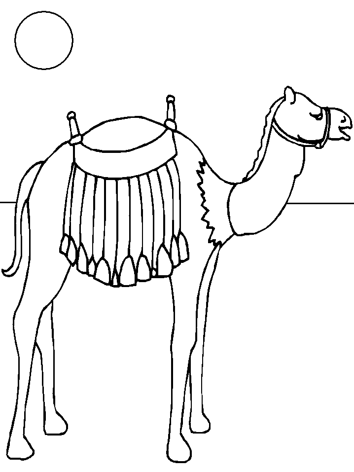 Printable Camel7 Animals Coloring Pages - Coloringpagebook.com