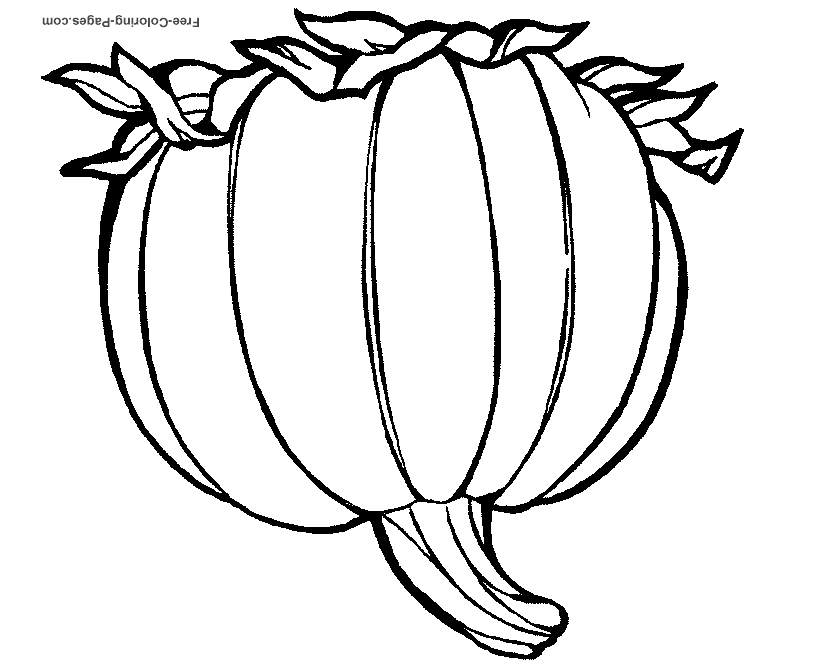 Kids Thanksgiving coloring pages - 16