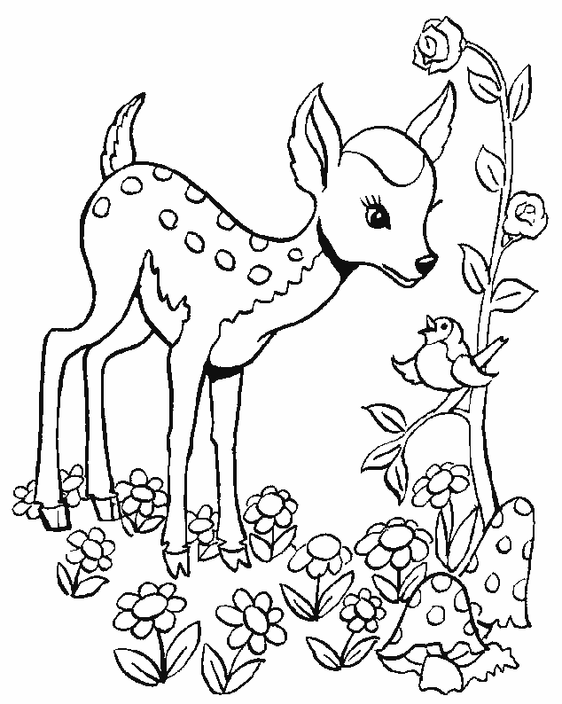 Baby Deer Coloring Pages Cute Baby Deer Coloring Pages