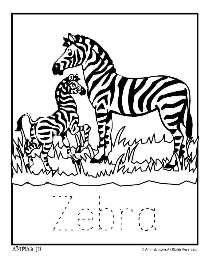 Zebra Coloring Sheet | Coloring pages