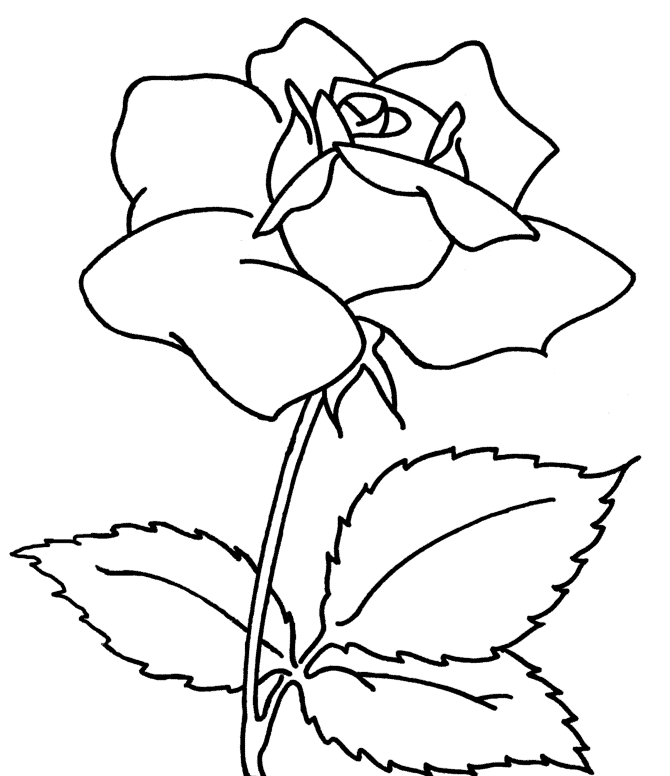 Beautiful And Interesting Flower Coloring Page |Flower coloring 