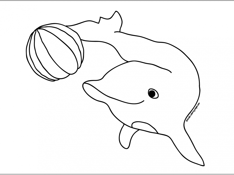 Cute Dolphin Coloring Pages Animal Coloring Pages Printable 52885 