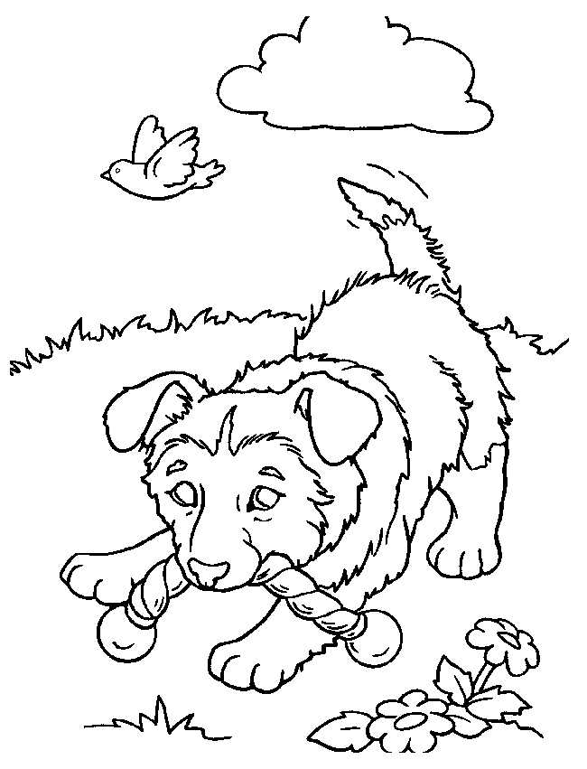 cowardly lion Colouring Pages