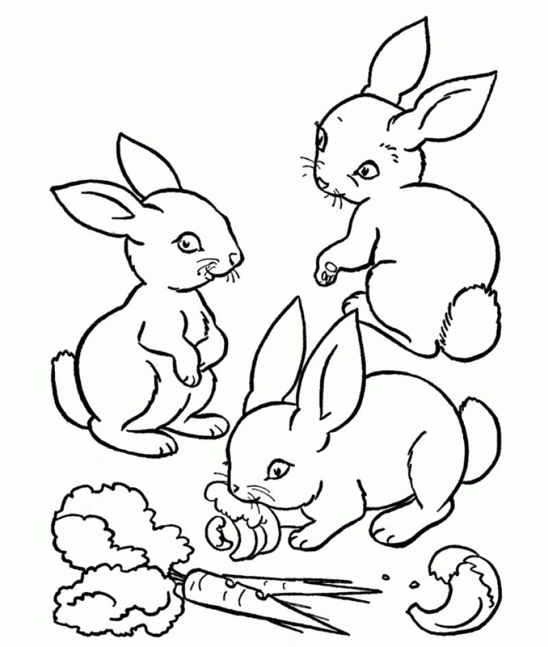 Small Rabbits Eating Vegetable Coloring For Kids - Kids Colouring 