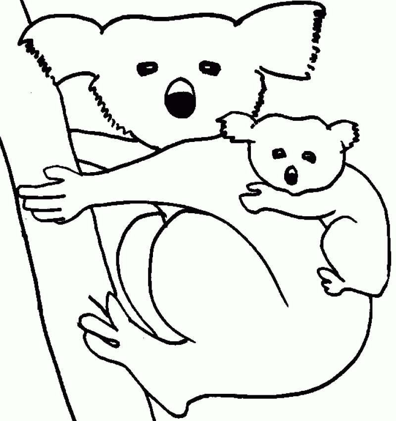 Download Wombat Coloring Page - Coloring Home