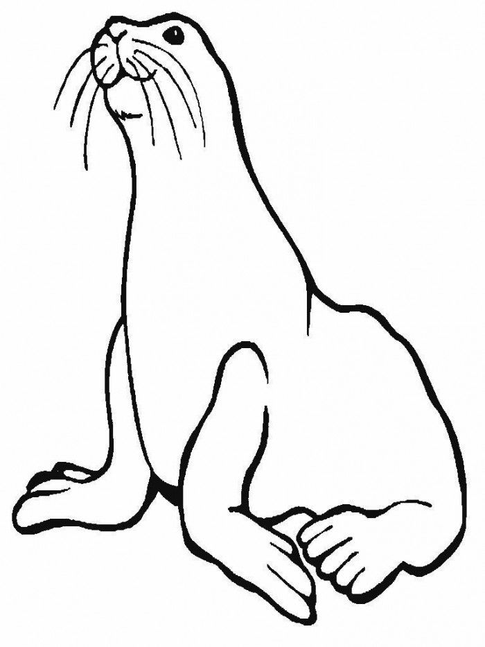 Sea Lion Coloring Pages Realistic