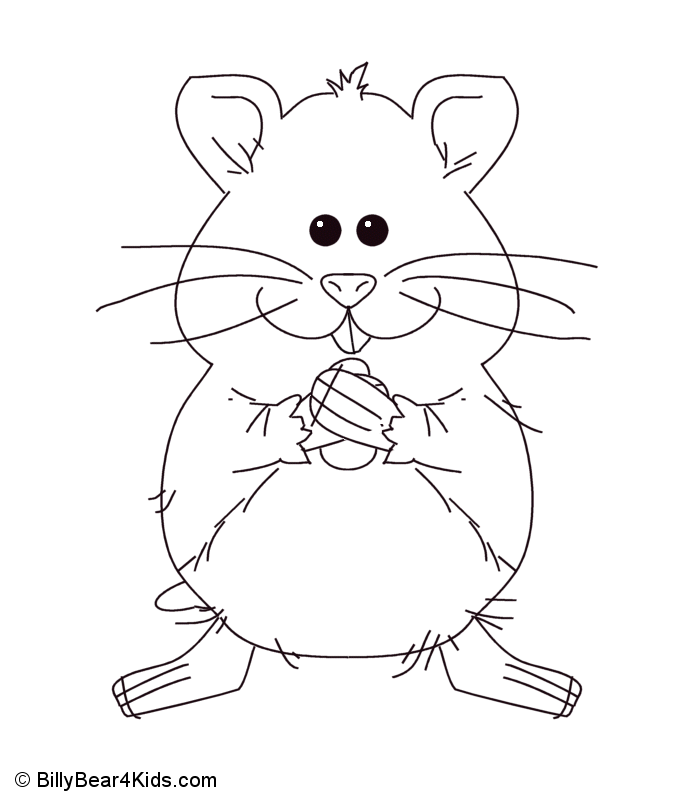 Hamster Coloring Page Animals Car Pictures