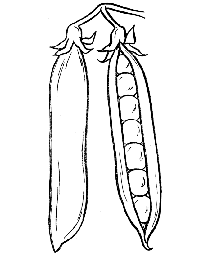 Vegetable Coloring Pages Images & Pictures - Becuo
