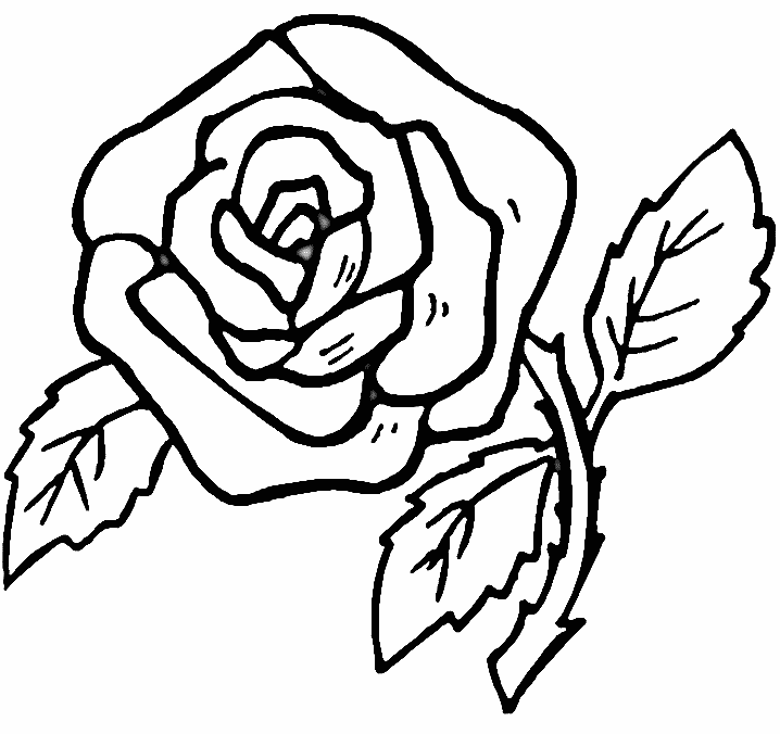 printable rose pictures  coloring home