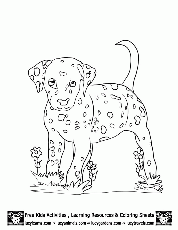 looks real puppy Colouring Pages