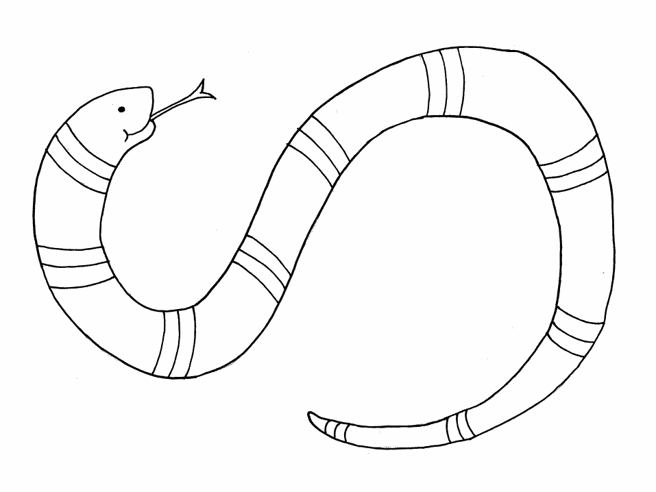coloring pages of snakes : Printable Coloring Sheet ~ Anbu 