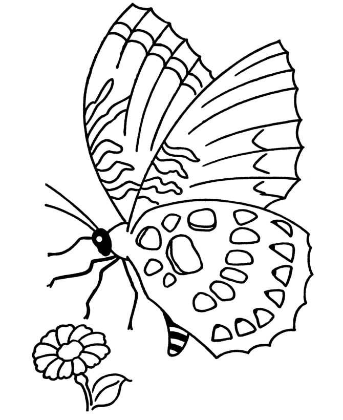 christmas coloring page for kids food goodies