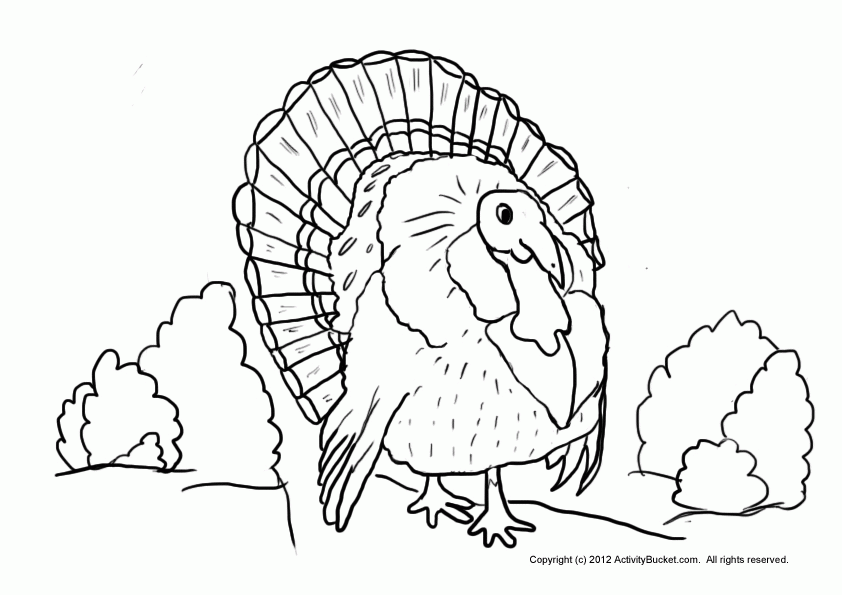 Thanksgiving Coloring Pages - Free Coloring Pages For KidsFree 