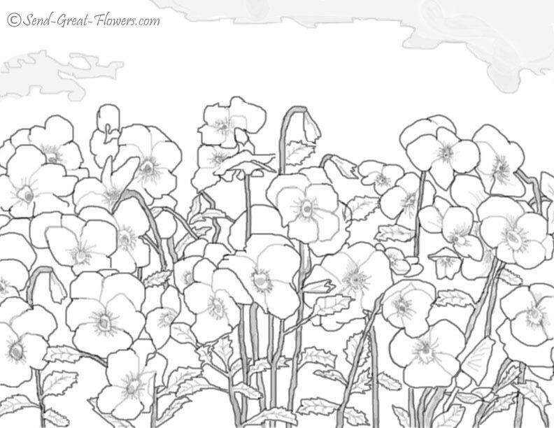 Winter Coloring Pages For Hours Of Wintertime Fun